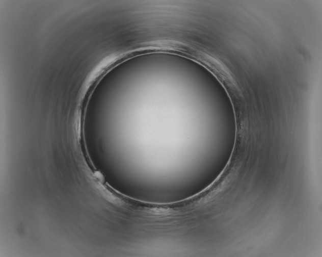 X0000112481180200908171213