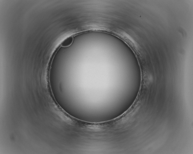 X0000112481182200908171213