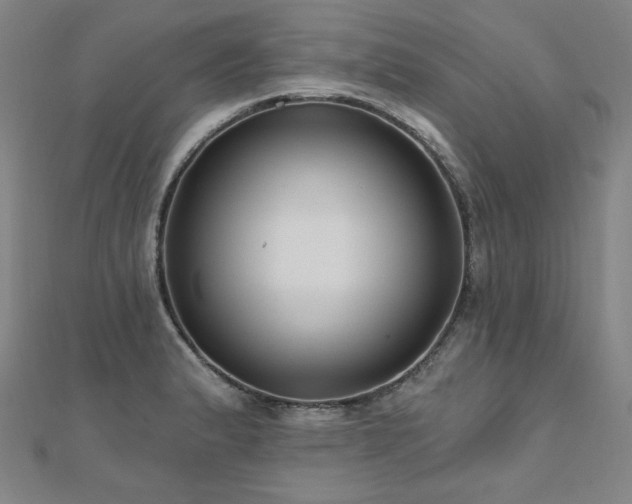 X0000112481183200908171213