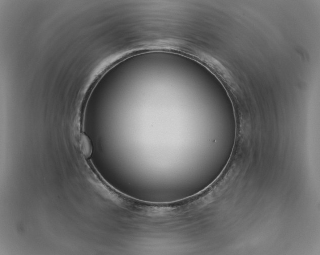 X0000112481184200908171213