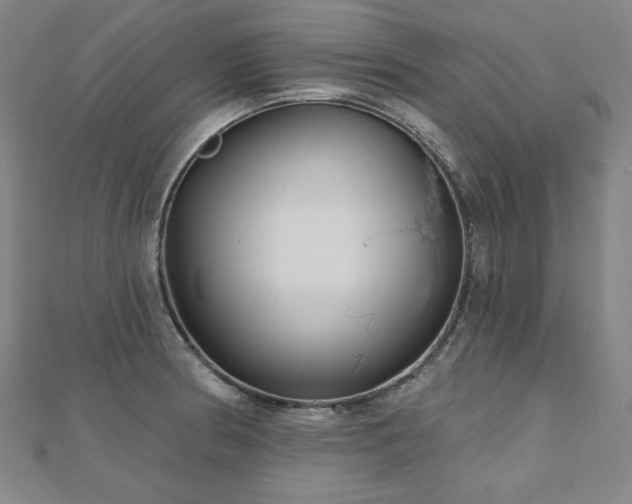 X0000112481186200908171213