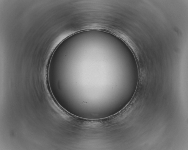 X0000112481187200908171213