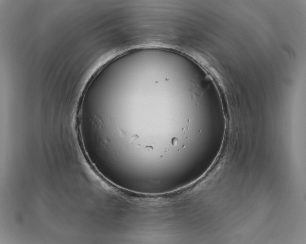 X0000112481189200908171213