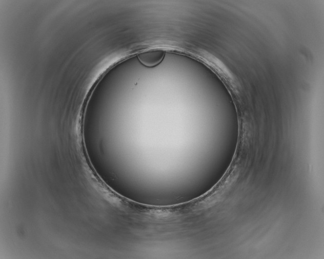 X0000112481190200908171213