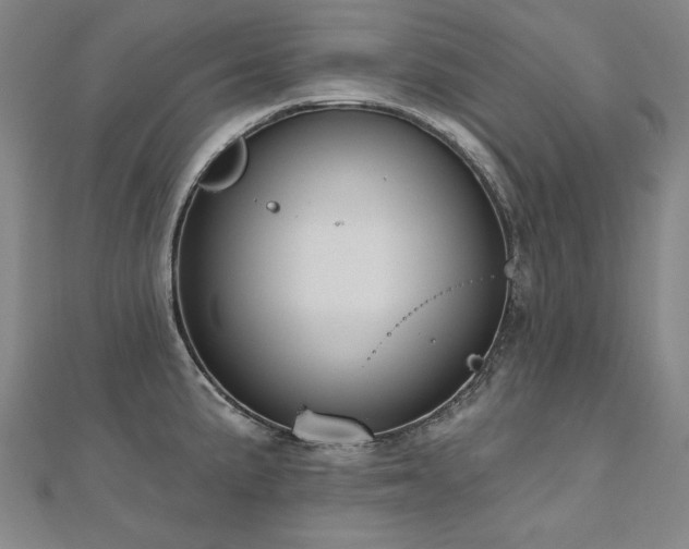 X0000112481191200908171213