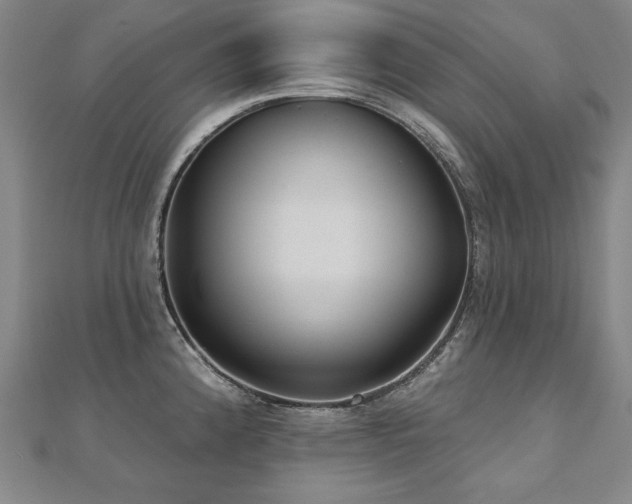 X0000112481192200908171213