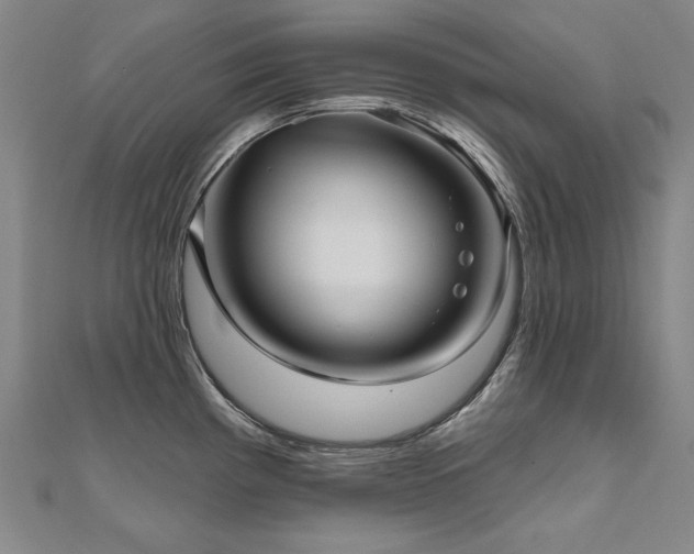 X0000112481193200908171213