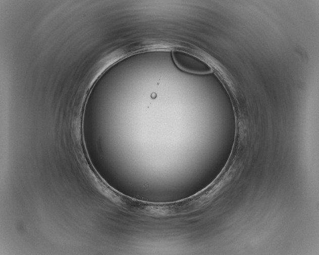X0000112481194200908171213