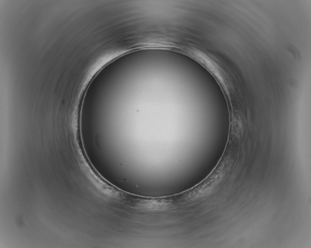 X0000112481195200908171213