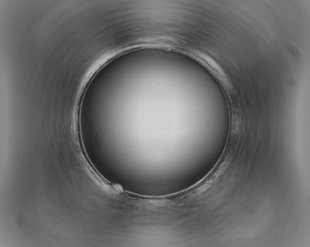 X0000112481196200908171213