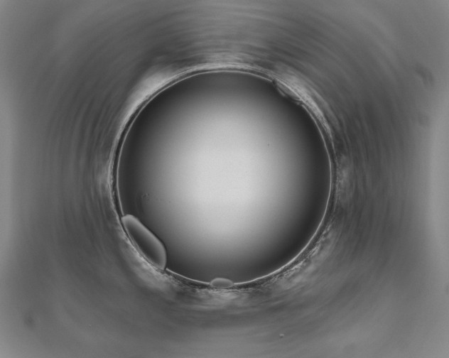 X0000112481197200908171213