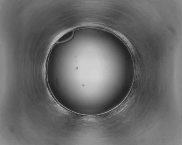 X0000112481199200908171213