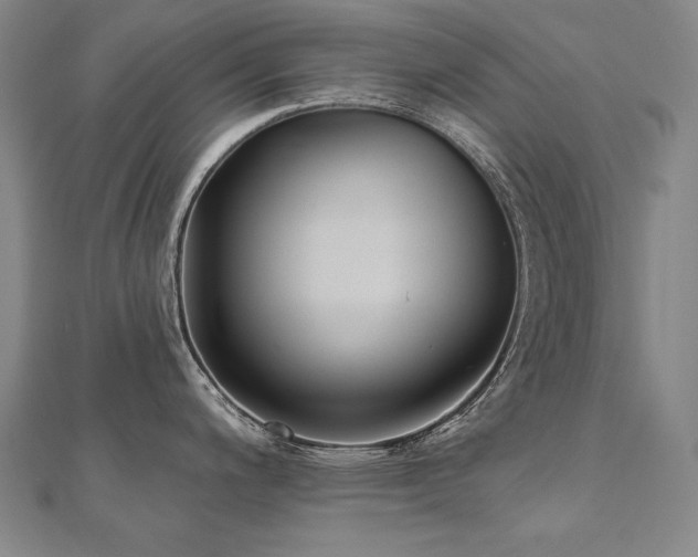 X0000112481200200908171213