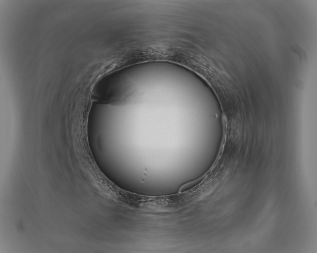 X0000112481201200908171212