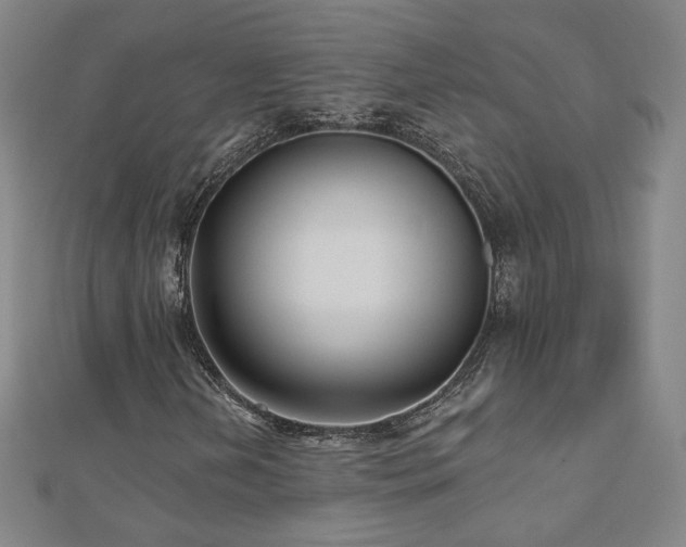 X0000112481202200908171212