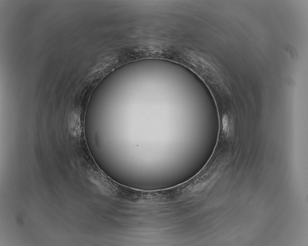 X0000112481203200908171212