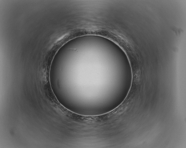 X0000112481205200908171212