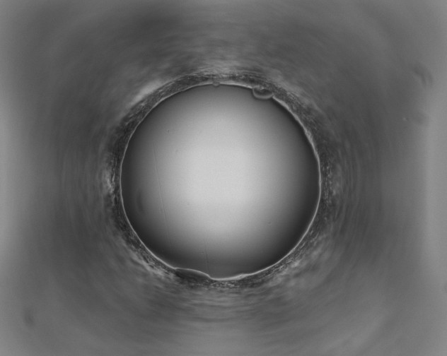 X0000112481206200908171212