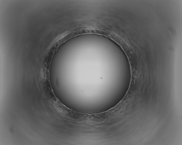 X0000112481207200908171212