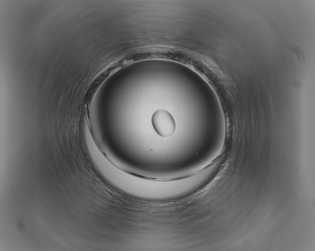 X0000112481209200908171212