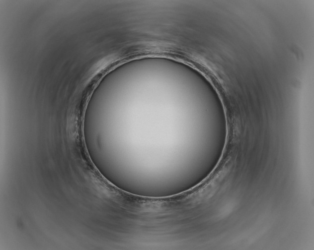 X0000112481211200908171212