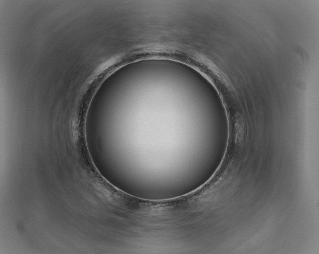 X0000112481213200908171212