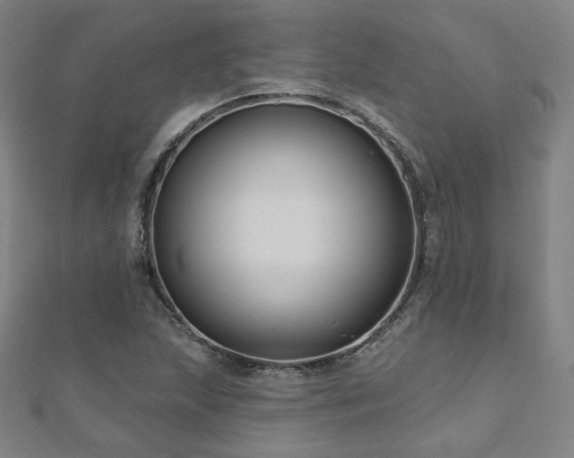 X0000112481215200908171212