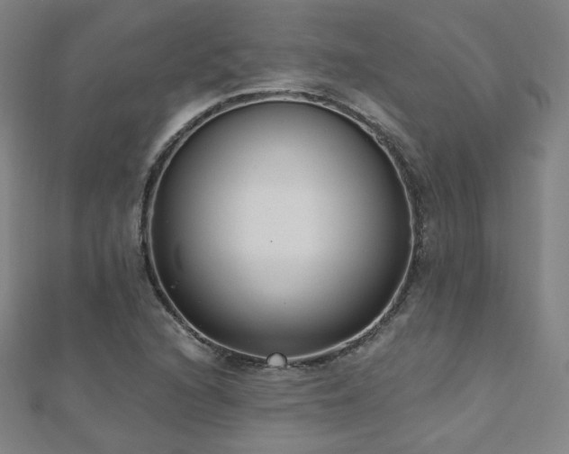X0000112481216200908171213
