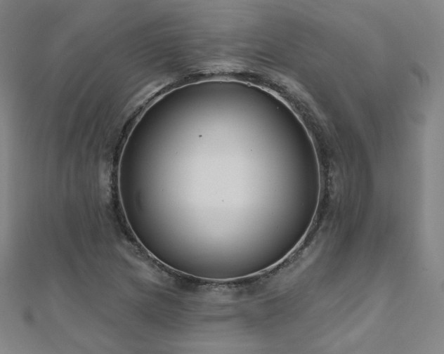 X0000112481217200908171213