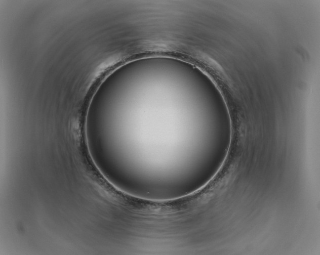 X0000112481218200908171213