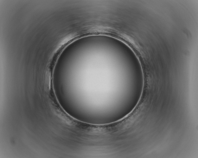 X0000112481219200908171213