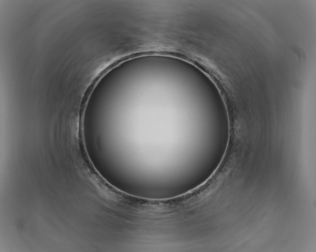 X0000112481220200908171213