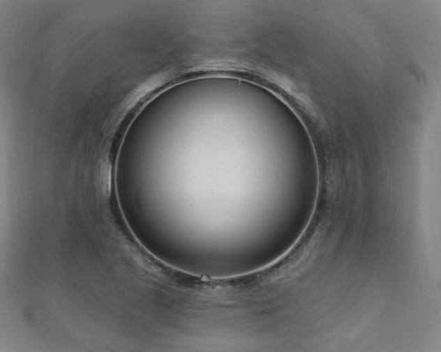 X0000112481221200908171213