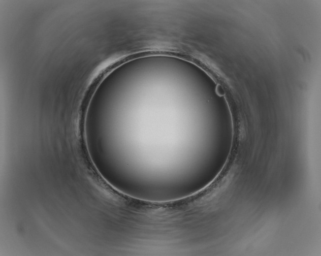 X0000112481222200908171213
