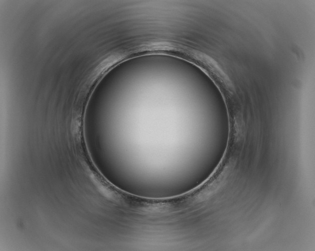 X0000112481225200908171213