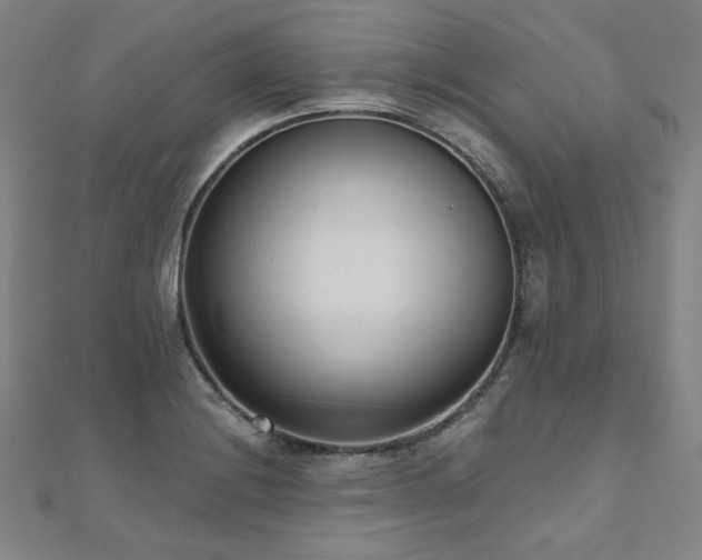 X0000112481228200908171213