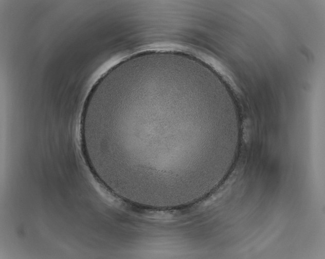 X0000112481229200908171213
