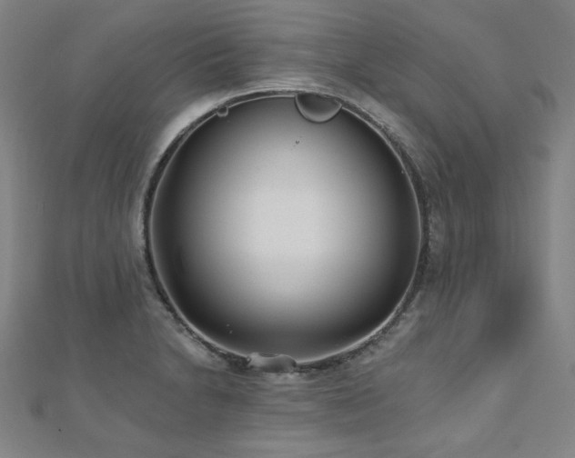 X0000112481230200908171213