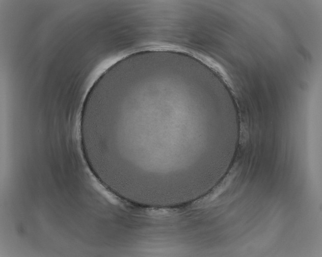 X0000112481231200908171213