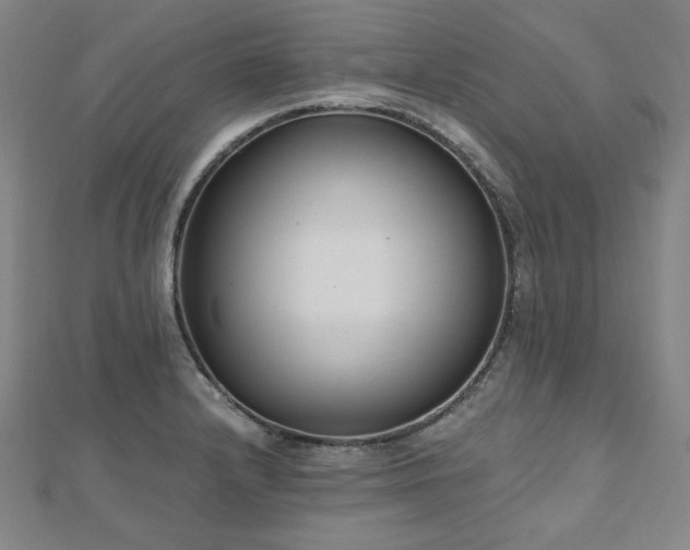 X0000112481232200908171213