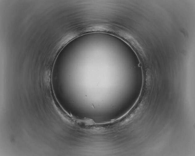 X0000112481233200908171213