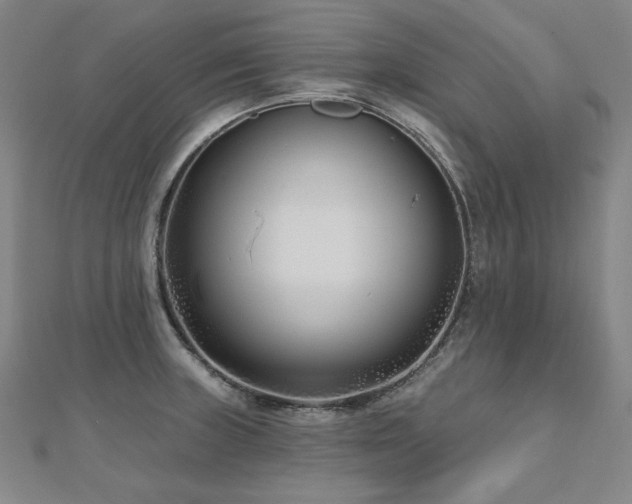 X0000112481235200908171213