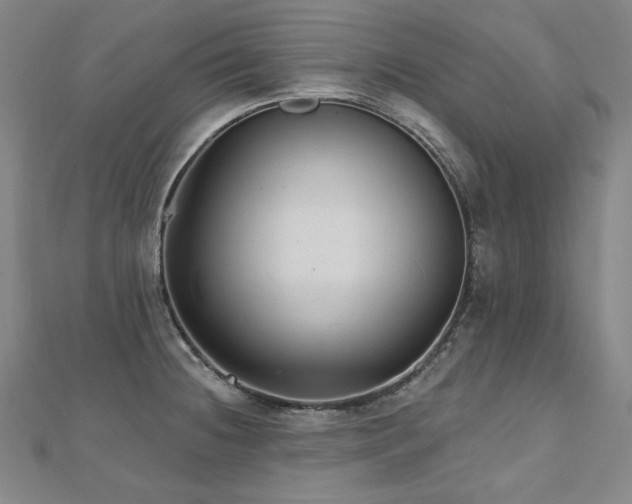 X0000112481236200908171213