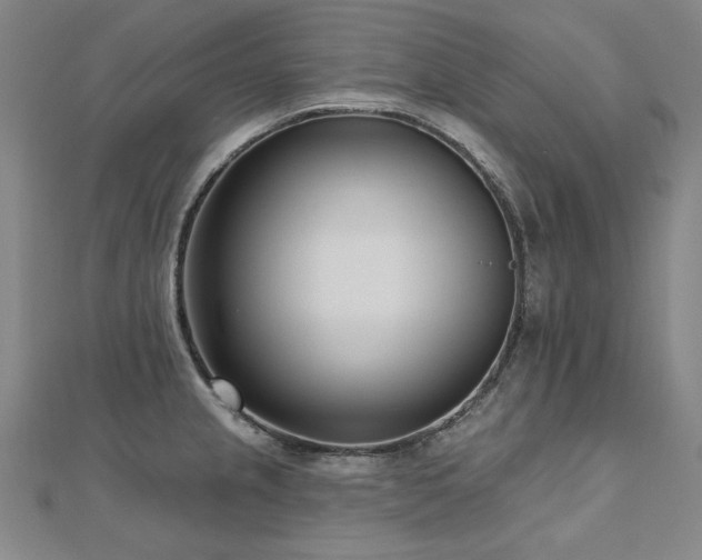 X0000112481237200908171213