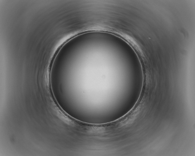 X0000112481238200908171213