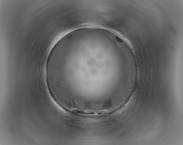 X0000112481239200908171213
