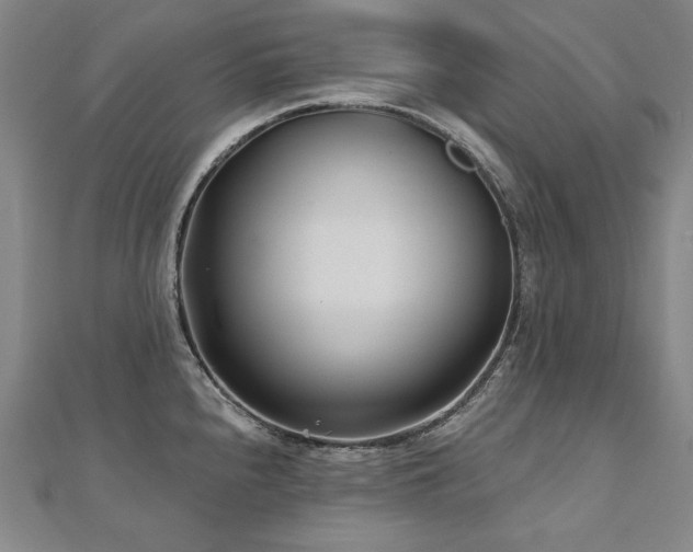X0000112481240200908171213