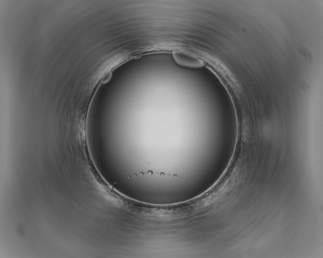 X0000112481241200908171213