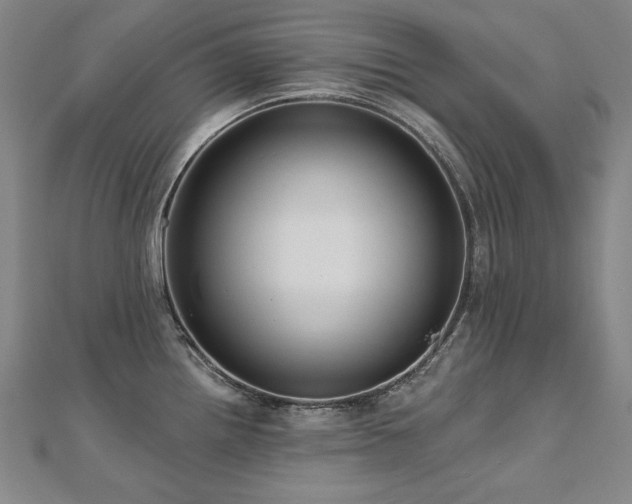 X0000112481242200908171213