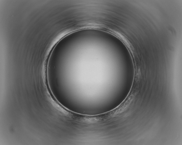 X0000112481243200908171213